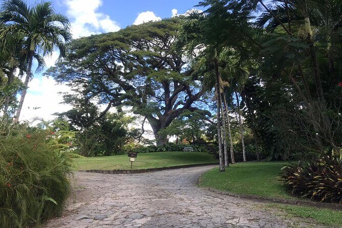 Basseterre Half Day Tour - Private guide energy: when the storytelling actually helps