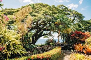Best of St. Kitts Private Half Day Tour - Brimstone Hill Fortress National Park: 800-Foot Fort Views