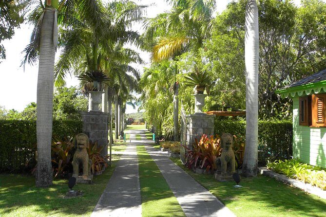 Discover Nevis, Island Tour (Private) - The Private Tour Setup: Pickup, Pace, and Your Guide Clayton