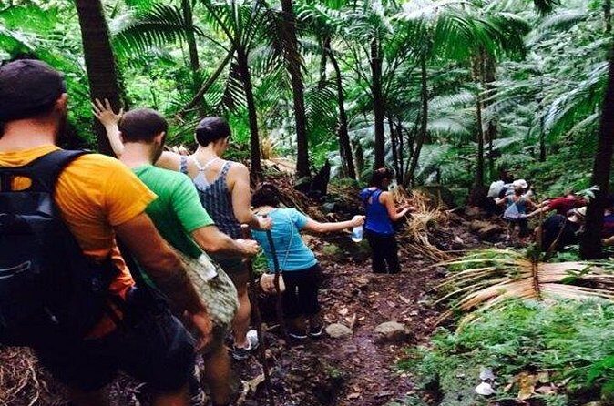 Hiking Mount Liamuiga Volcano in St Kitts - Snacks, fruit drinks, and what “included” really means