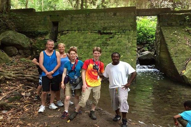 Hiking Mount Liamuiga Volcano in St Kitts - Rainforest and cloud forest: what the trail is really like