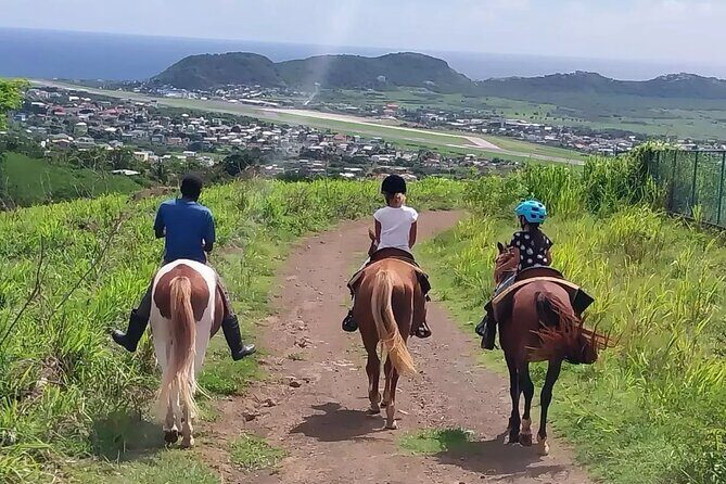 Horseback Riding, A Scenic Escape - The trail you actually ride: mango shade, poinciana color, and rainforest sounds