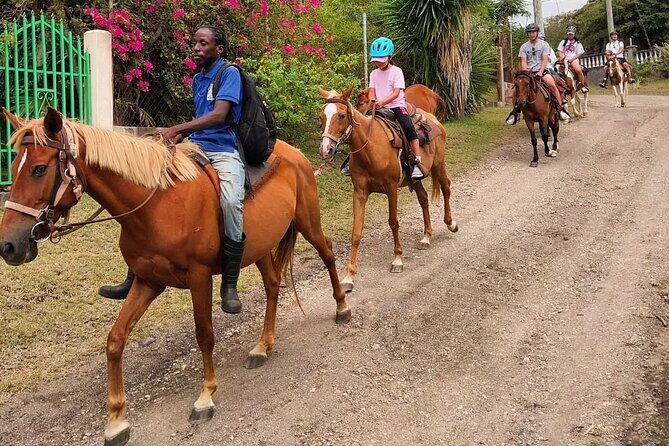 Horseback Riding, A Scenic Escape - Colonial remnants and sugar mills you can look up at