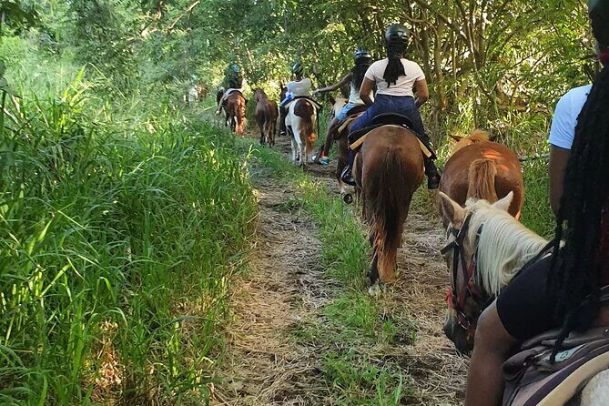Horseback Riding, A Scenic Escape - Basseterre views, Sofa Stone photos, and the 10-minute walk break