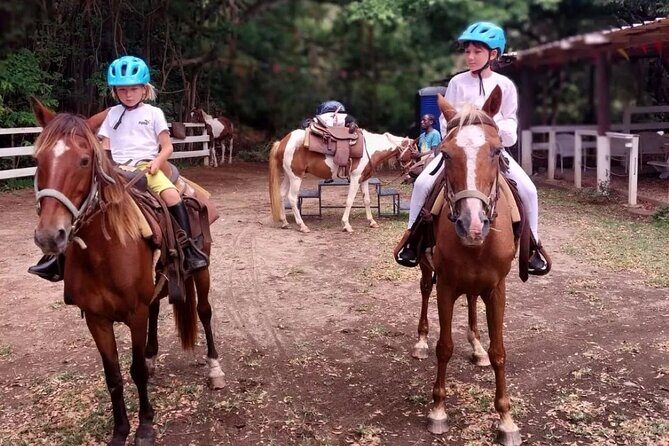 Horseback Riding, A Scenic Escape - Price and timing: is $110 a good value for St. Kitts?