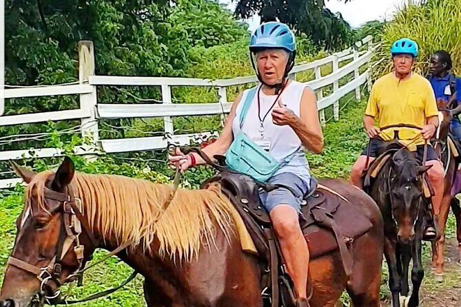 Horseback Riding, A Scenic Escape - Should you book Scenic Escape St. Kitts horseback riding?