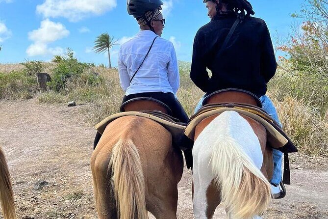 Horseback Riding, A Scenic Escape - Getting started: orientation, safety, and the pace you can handle