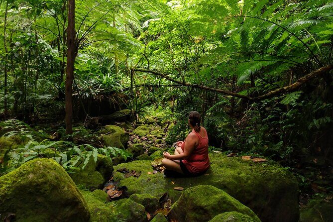 Mindfulness Rainforest Hike, Forest Bathing, Volcanic Hot Springs - Key takeaways