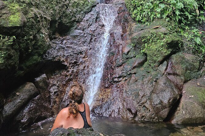 Mindfulness Rainforest Hike, Forest Bathing, Volcanic Hot Springs - Rainforest Mindfulness Hike and Hot Springs: what you’re really signing up for