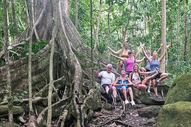 Mindfulness Rainforest Hike, Forest Bathing, Volcanic Hot Springs - Waterfall pool time: the refreshing dip (and cold plunge option)