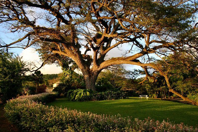 Panoramic Sightseeing Tour of St Kitts - Caribelle Batik: Sugar Plantation Roots Plus a Botanical Garden
