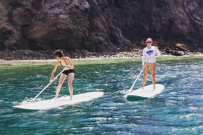 Scenic Stand-up Paddleboarding Adventure Tour - What to bring, and how to make the meeting point painless