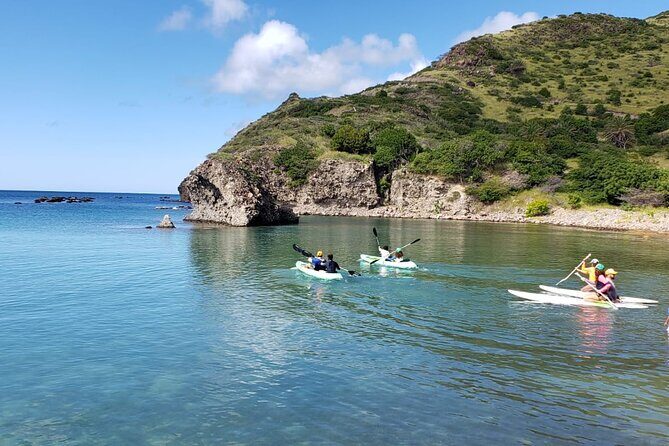Scenic Stand-up Paddleboarding Adventure Tour - Should you book St.Kitts Water Sports for this SUP tour?