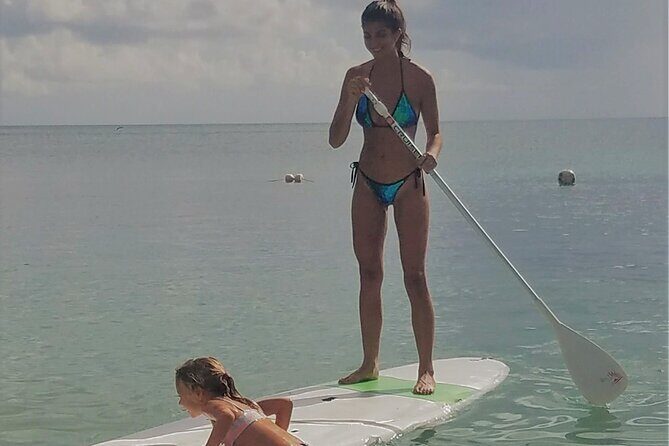 Scenic Stand-up Paddleboarding Adventure Tour - Wildlife time: sea turtles and stingrays, without the chasing