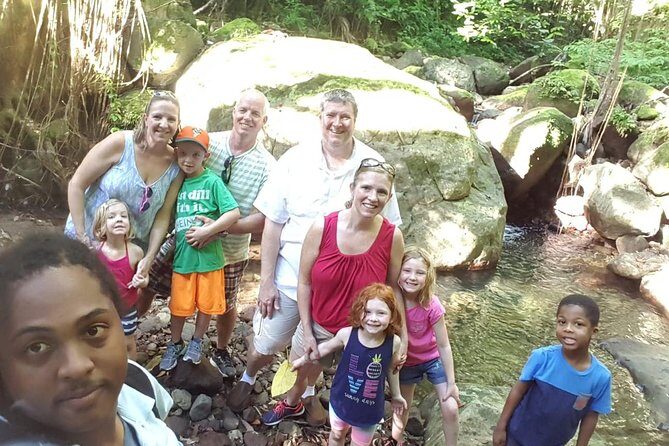 St. Kitts Half-Day Rainforest Tour - Price and Value: Is $74.67 a Smart Use of Time?