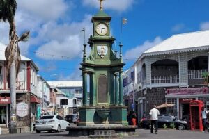 St. Kitts No Hustle No Hassle Private Tour with Don - Getting around smoothly: pickup, timing, and comfort