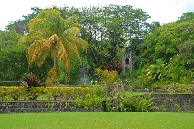 St. Kitts Rainforest Tour - Guides make the difference: David, Zidan, Adrian, and more