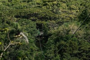 St. Kitts Zipline Experience - Key Takeaways Before You Go