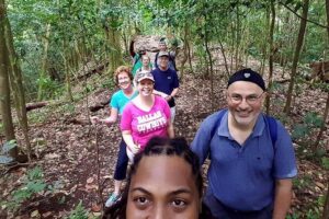 Tropical Rain Forest Explorer Hike In St. Kitts - Old Road Town start: pickup, transfers, and a manageable group