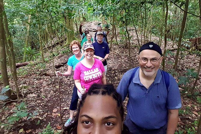 Tropical Rain Forest Explorer Hike In St. Kitts - Old Road Town start: pickup, transfers, and a manageable group