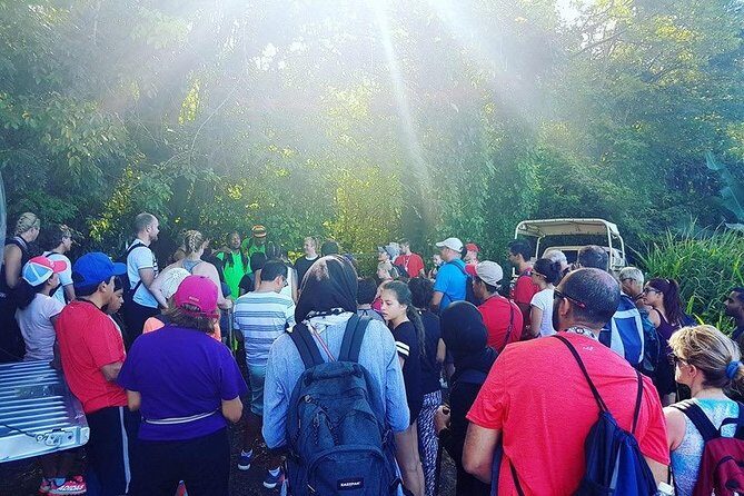Volcano Caldera (Mt. Liamuiga) Trek / Hike - The Hike Up Mt. Liamuiga: Crater Views and a Real Elevation Payoff