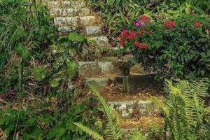 Wingfield Rainforest Adventure Hike and Caribelle Batik stop - The 3-Hour Rhythm: How This Fits a Busy St Kitts Day