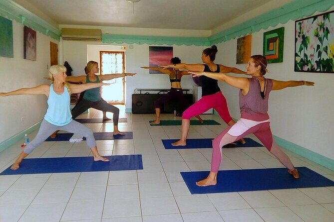 Yoga and Meditation, Group or Private Sessions in Nevis - Equipment included: less packing, more doing